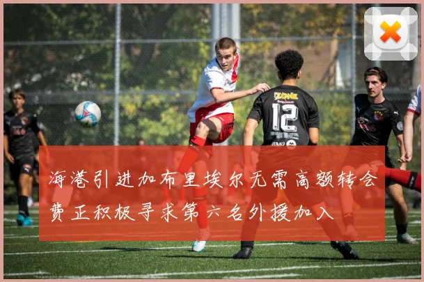海港引进加布里埃尔无需高额转会费正积极寻求第六名外援加入