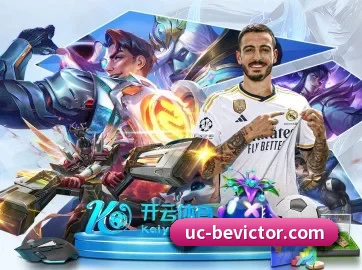 韦德体育 APP